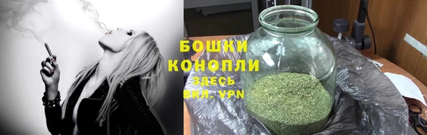 стафф Приозерск