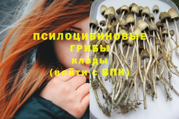 винт Алексин