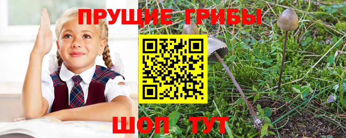 Галлюциногенные грибы Саки