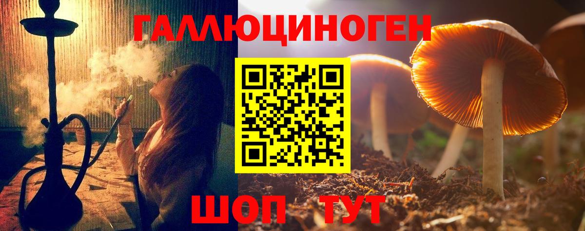 Псилоцибиновые грибы прущие грибы Саки