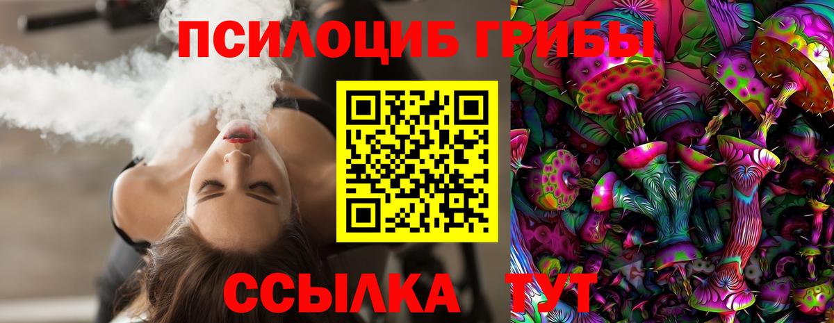 Псилоцибиновые грибы мицелий  Вход с VPN  Саки  Псилоцибиновые грибы Cubensis 